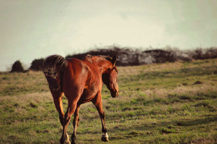 Photo de profil de nspht9