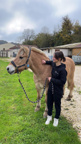 Photo de profil de ntxra