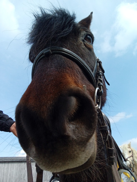 Photo de profil de nutnut49