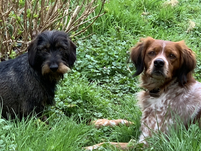 Photo de profil de oberum