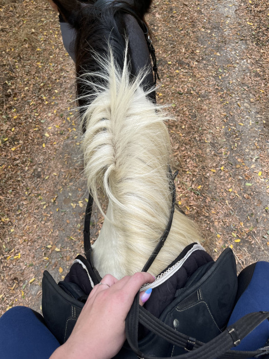 Photo de profil de oceanejouis