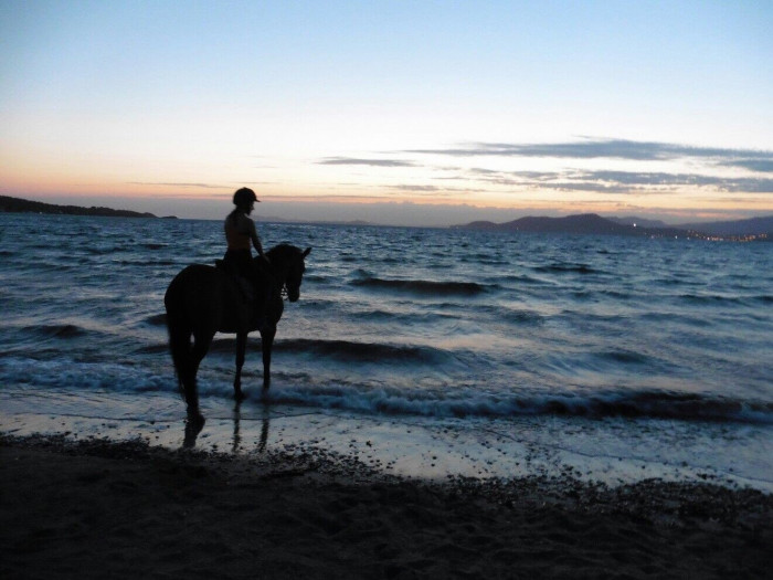 Photo de profil de oceee69