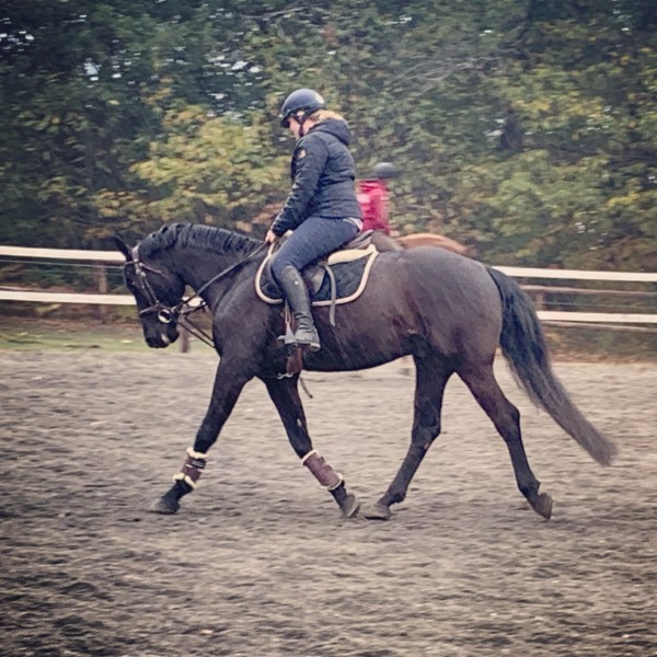 Photo de profil de octavie87