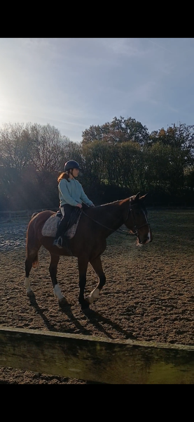 Photo de profil de odeou_6480