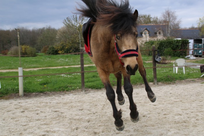 Photo de profil de odyssee49