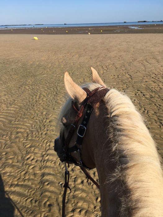 Photo de profil de ohemenicky