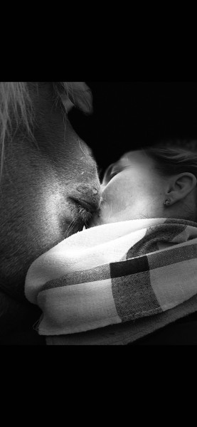 Photo de profil de olebienetrequin