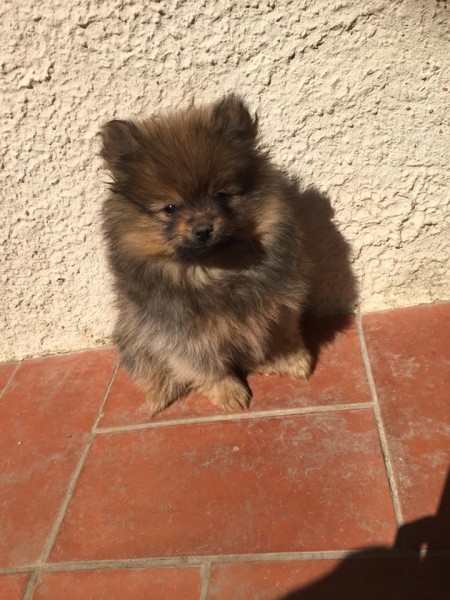 Photo de profil de olivia10