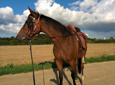 Photo de profil de olivier48