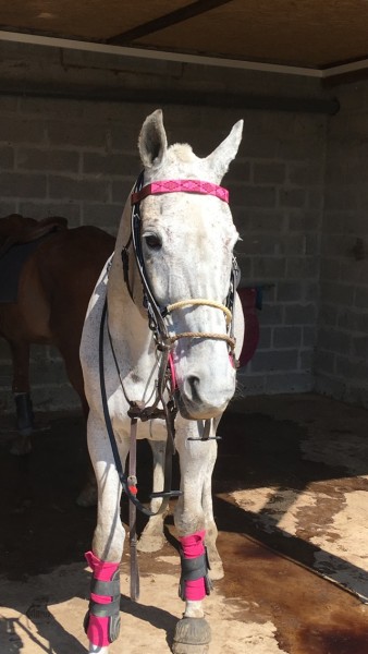 Photo de profil de olveig