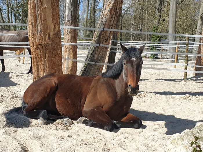 Photo de profil de onearrow91