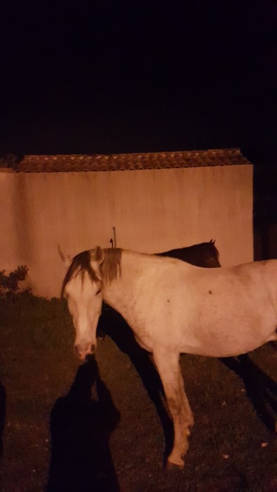 Photo de profil de ooping