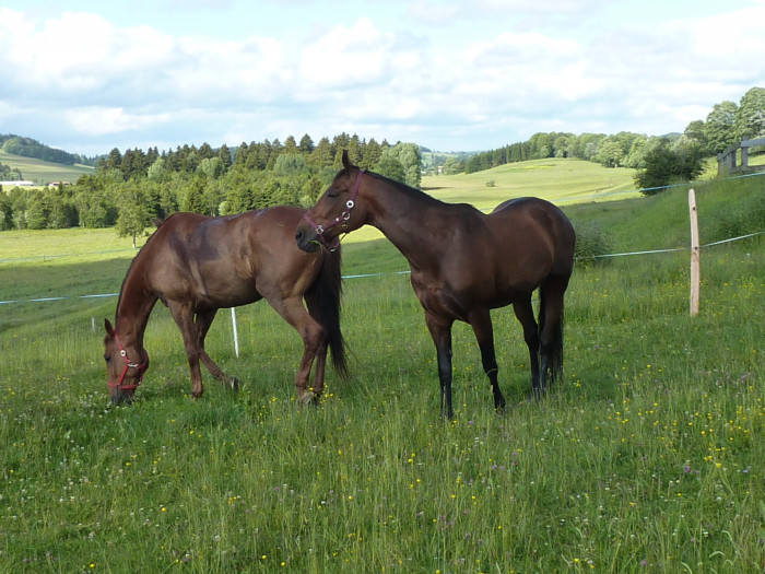 Photo de profil de ordisass