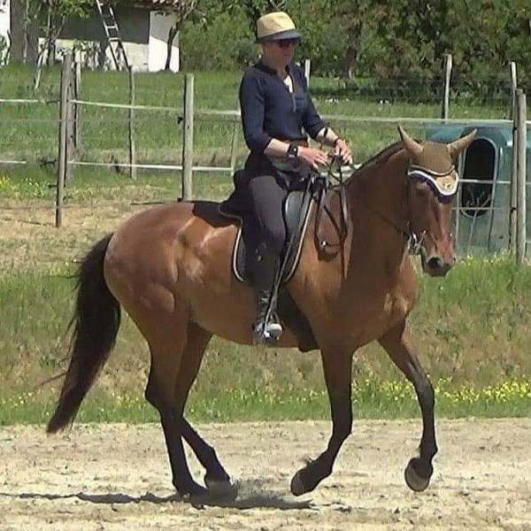 Photo de profil de oriana