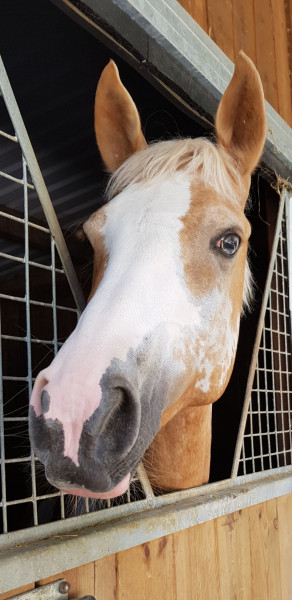 Photo de profil de orianeg1