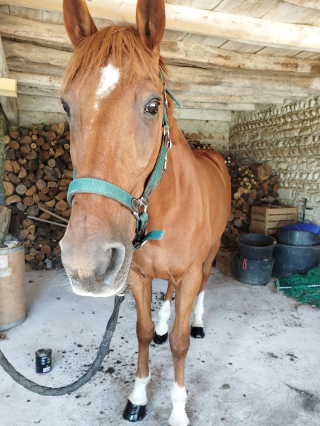 Photo de profil de orio