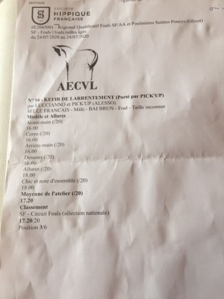 Photo de profil de orland58