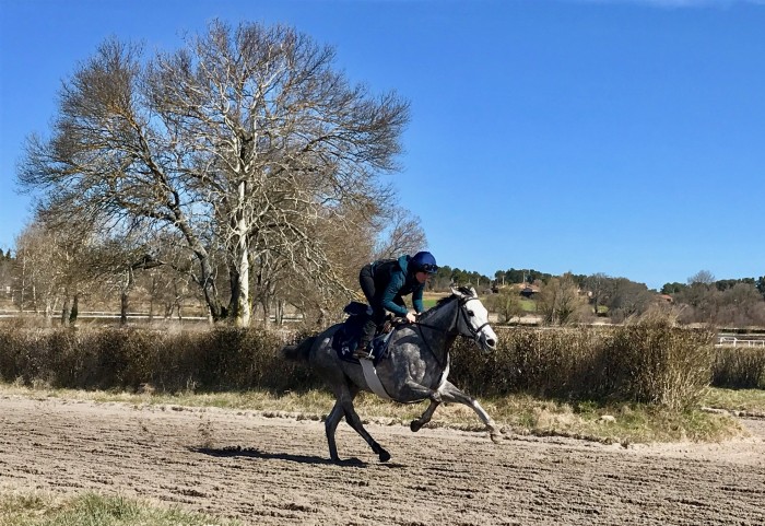 Photo de profil de orlanean