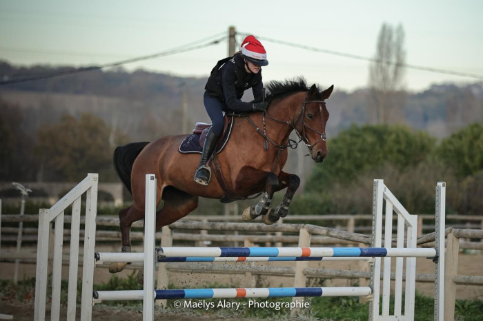 Photo de profil de orlane.mql