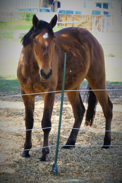 Photo de profil de orphei