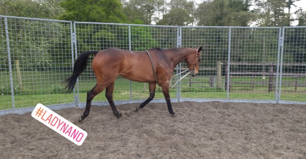 Photo de profil de oruch