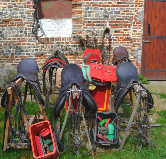 Photo de profil de ottilia