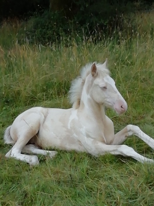 Photo de profil de oudou44