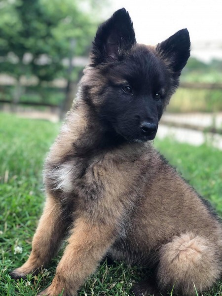 Photo de profil de oudoune