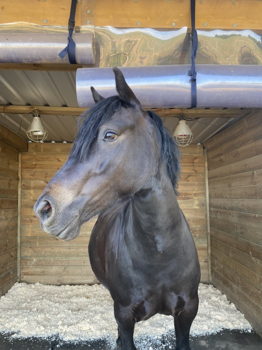 Photo de profil de p2406