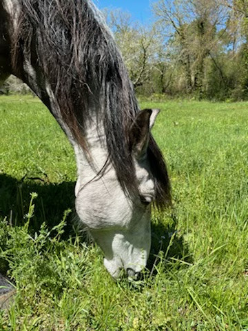 Photo de profil de paco30