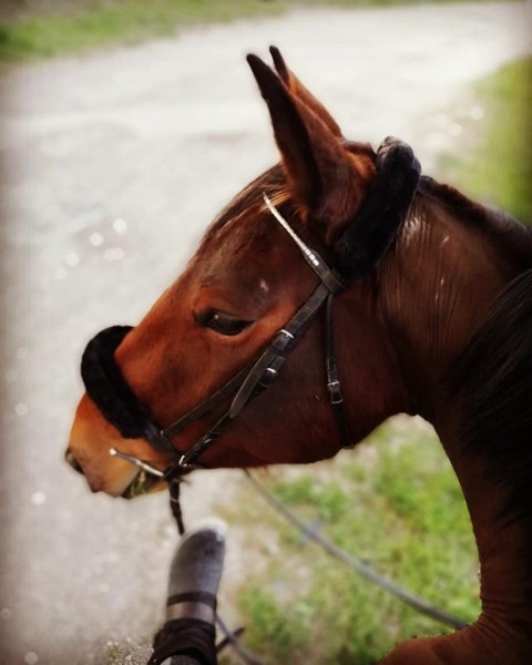 Photo de profil de pallou07