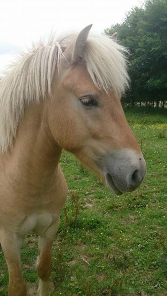 Photo de profil de pampam73