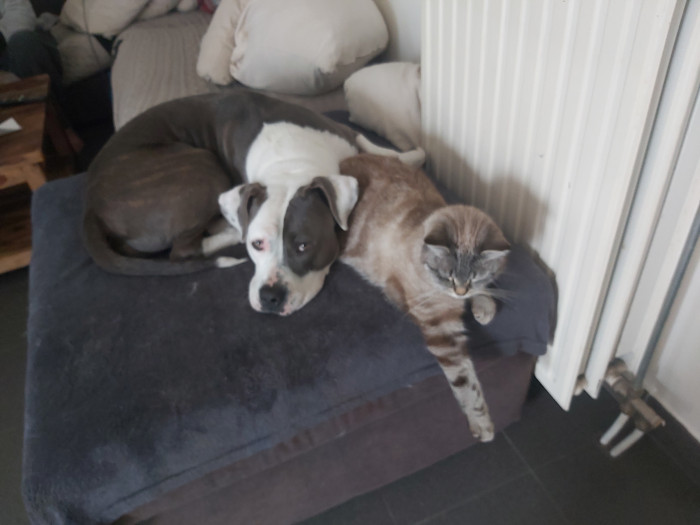 Photo de profil de papou66