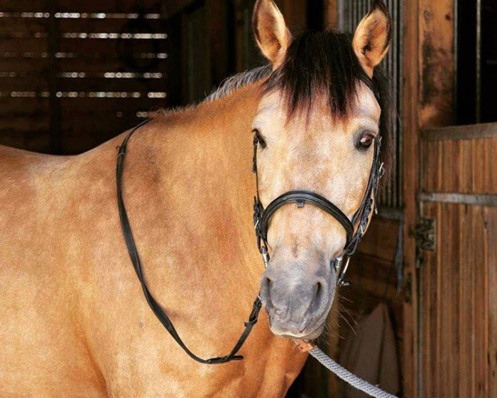 Photo de profil de paprika2112