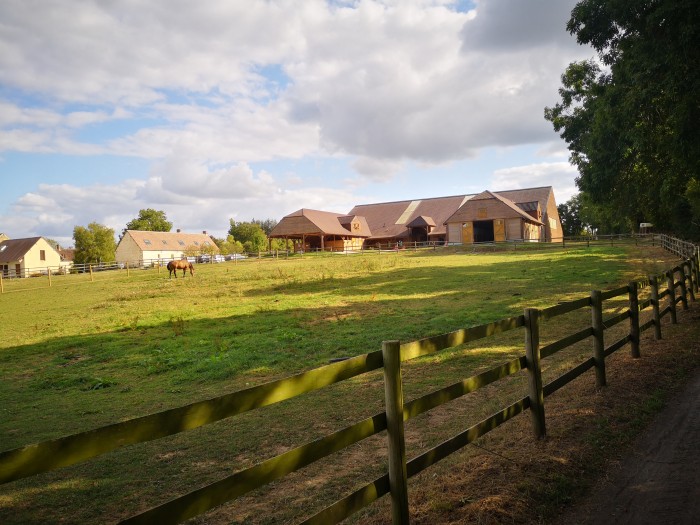 Photo de profil de paradiso