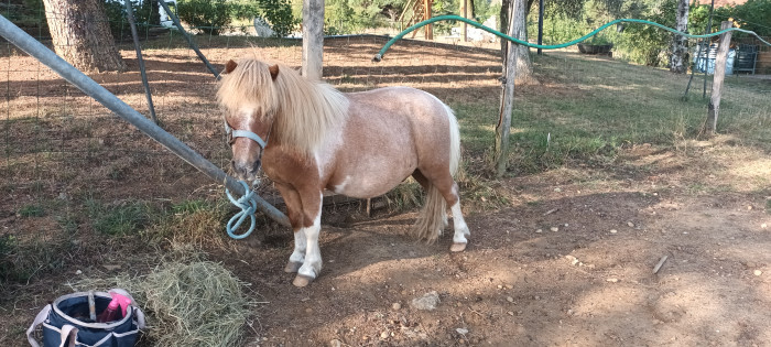 Photo de profil de pascale69