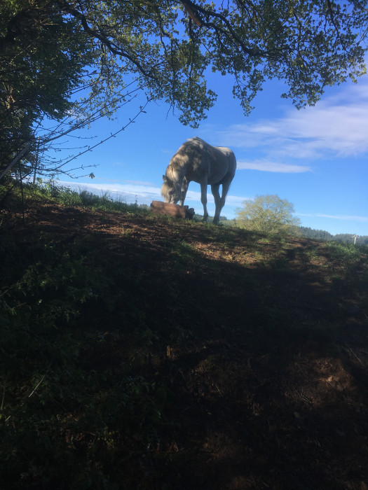 Photo de profil de pascale71