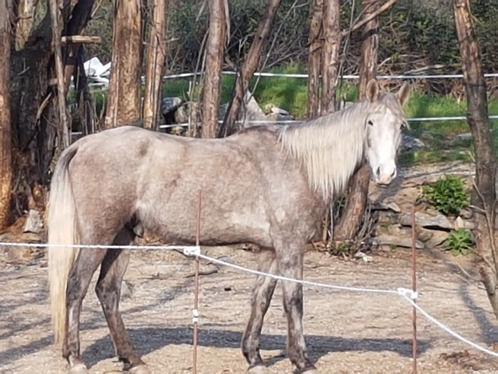 Photo de profil de pascaloune