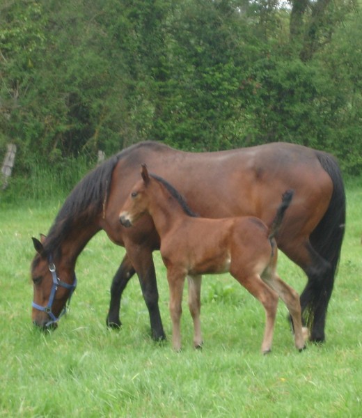 Photo de profil de pasmarick