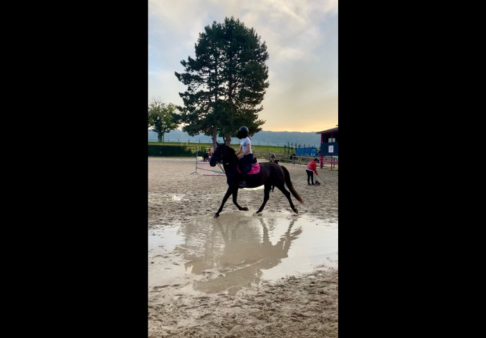 Photo de profil de passionchevauxx