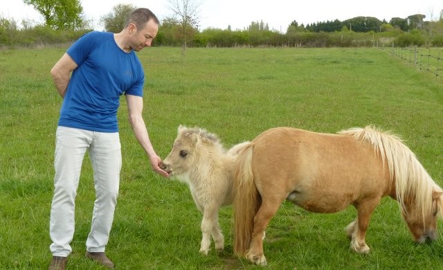 Photo de profil de pastels