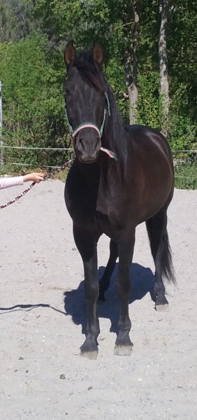 Photo de profil de patanas13