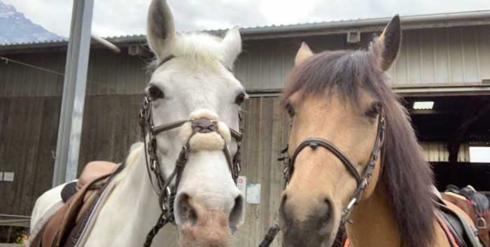 Photo de profil de patatebleue