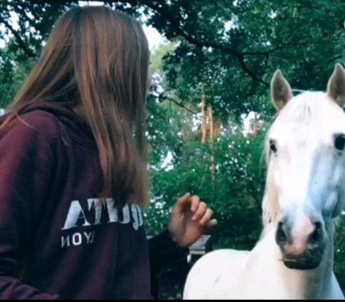 Photo de profil de patochelastar
