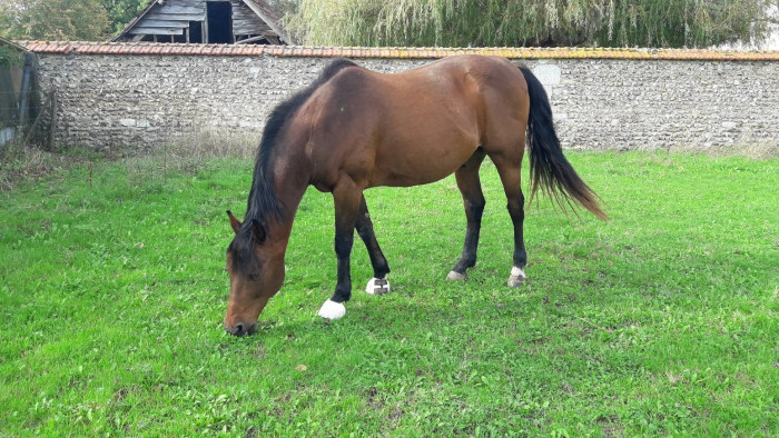 Photo de profil de patounette