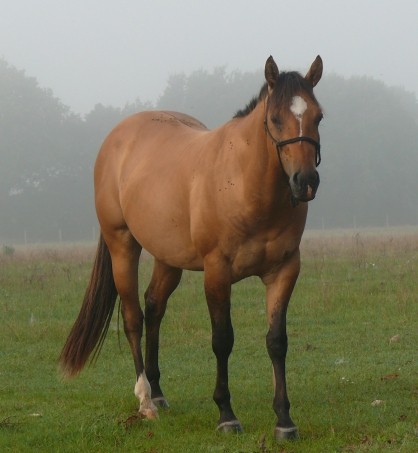 Photo de profil de patricia44