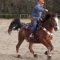 Photo de profil de patrur