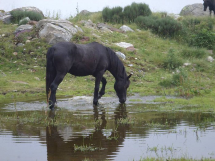 Photo de profil de patxa