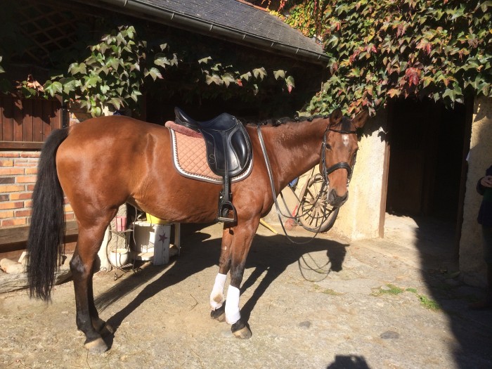 Photo de profil de patypat