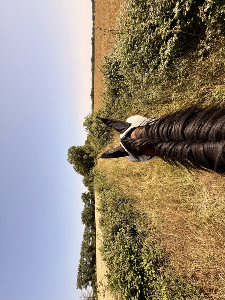 Photo de profil de paubrl